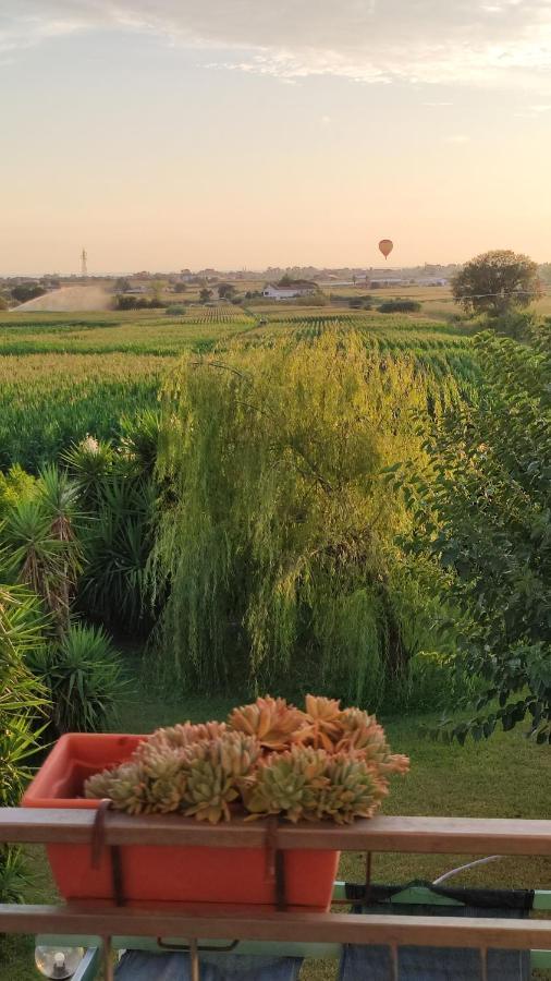 Le Colline Di Paestum Bed & Breakfast Capaccio Dış mekan fotoğraf