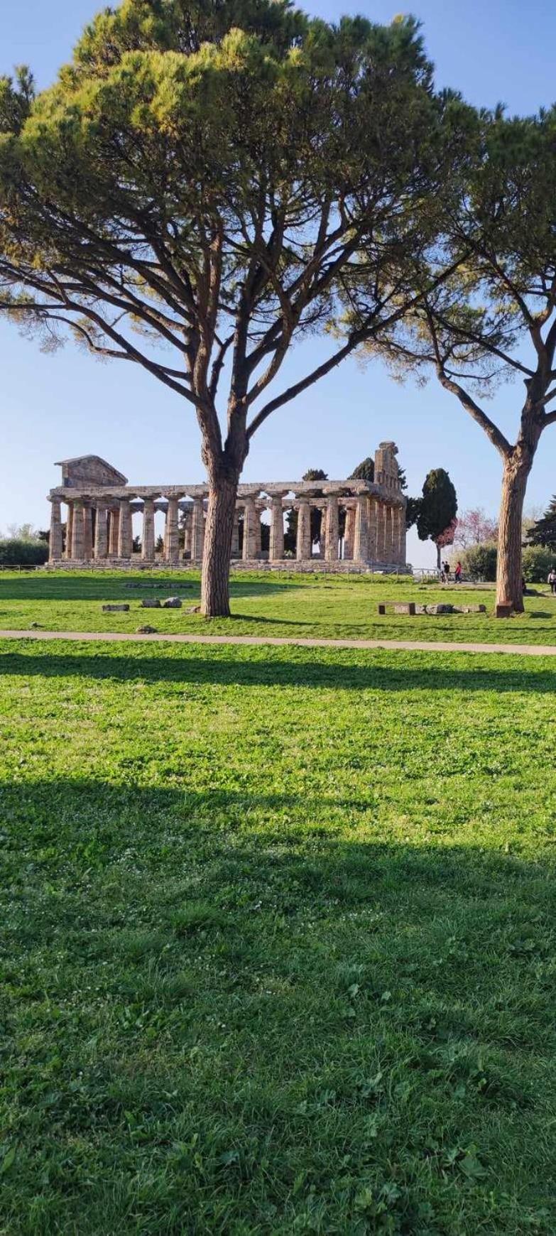 Le Colline Di Paestum Bed & Breakfast Capaccio Dış mekan fotoğraf